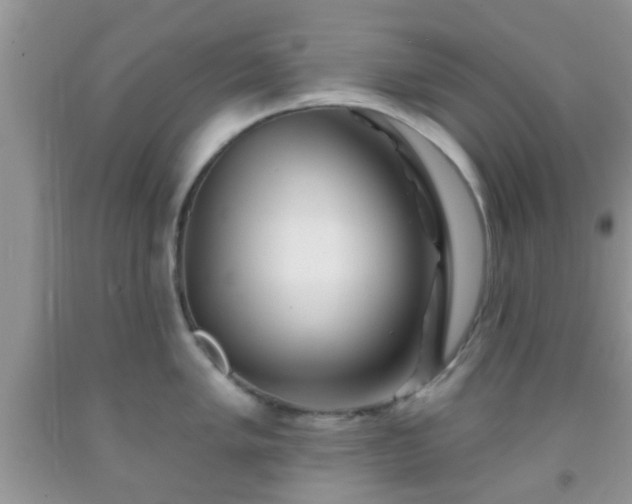 X0000092041005200709191056