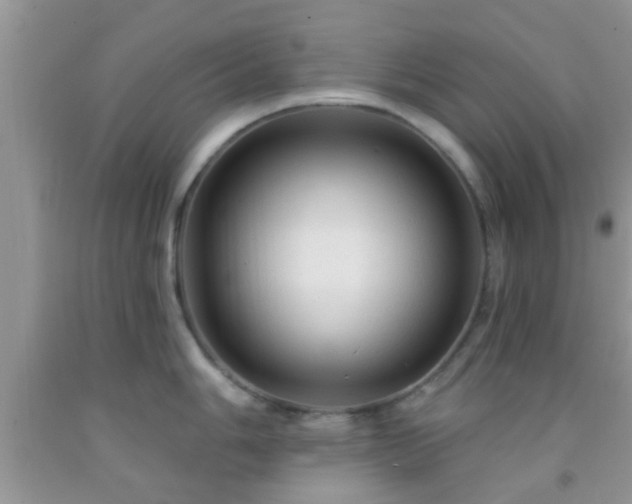 X0000092041006200709191056