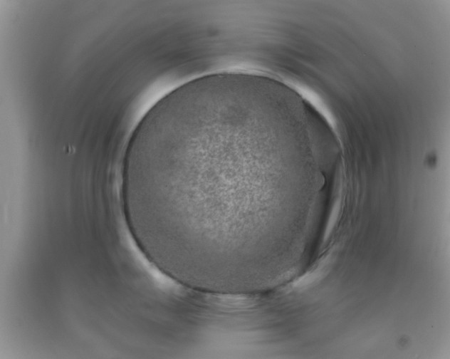 X0000092041007200709191056