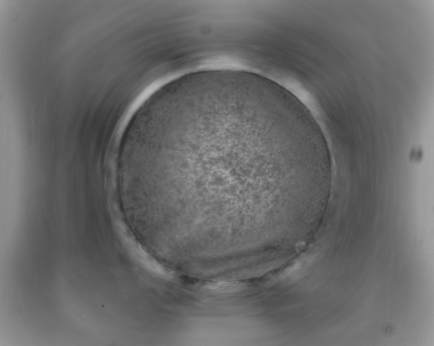 X0000092041008200709191056