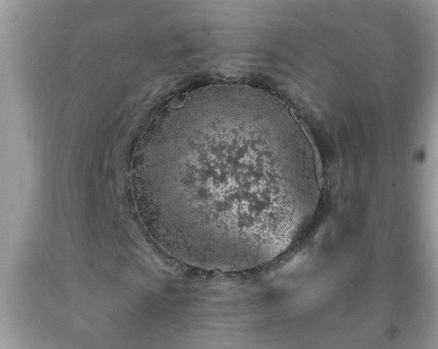 X0000092041009200709191056