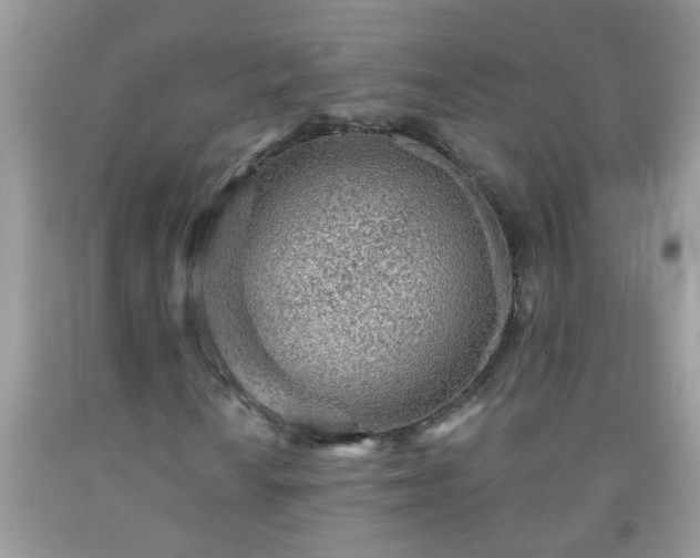 X0000092041010200709191056