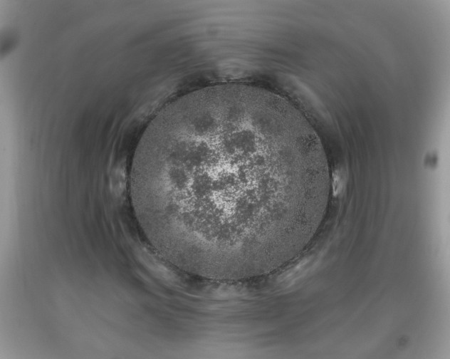 X0000092041011200709191056