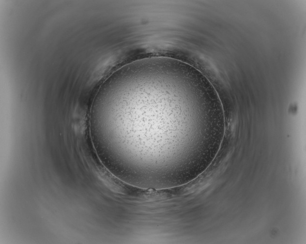 X0000092041012200709191056