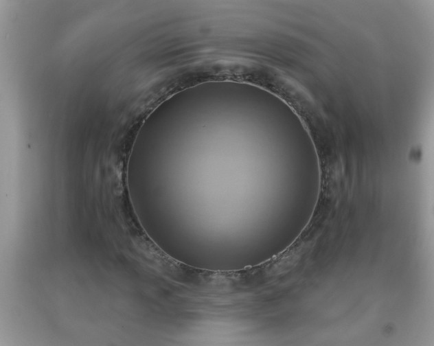 X0000092041013200709191056