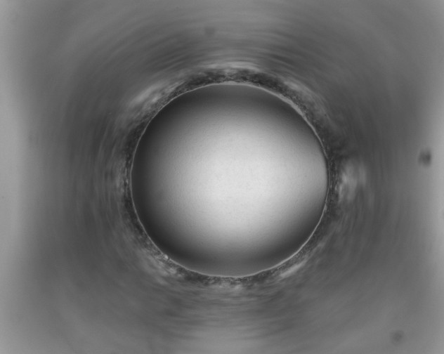 X0000092041014200709191056