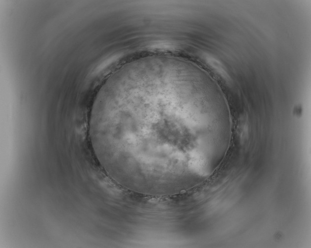 X0000092041015200709191056