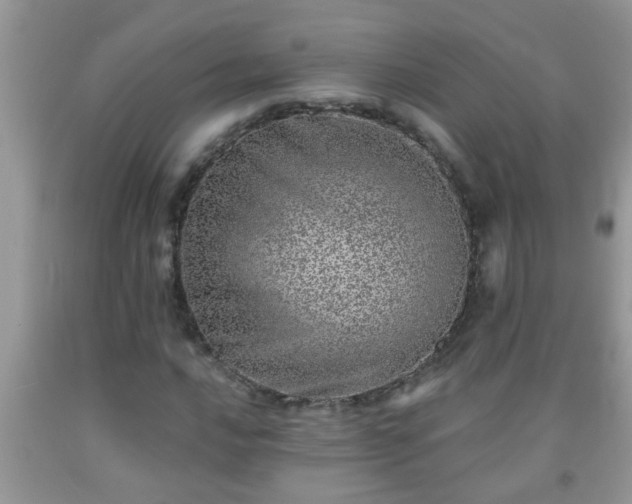 X0000092041016200709191056