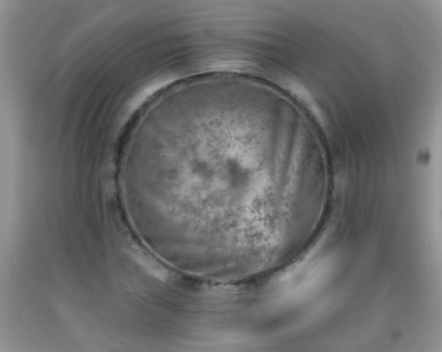 X0000092041019200709191056