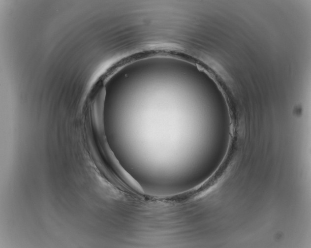 X0000092041022200709191056