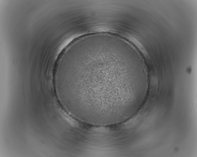 X0000092041023200709191056