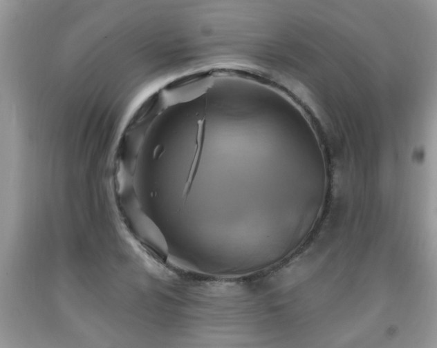 X0000092041024200709191056