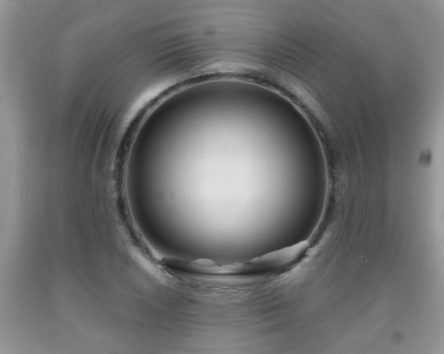 X0000092041026200709191056