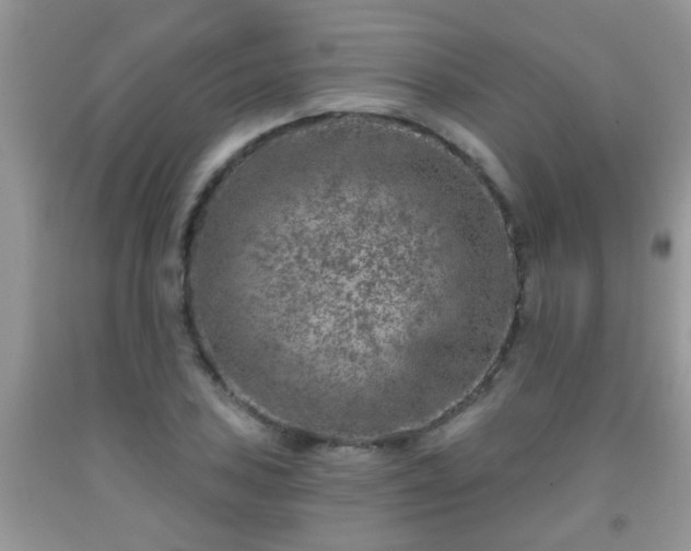 X0000092041027200709191056