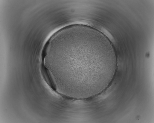 X0000092041028200709191056