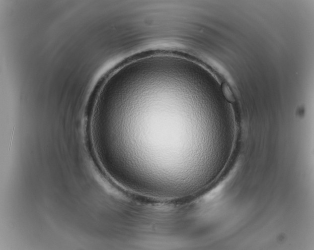 X0000092041029200709191056