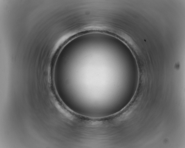 X0000092041030200709191056