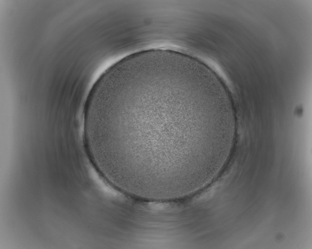 X0000092041032200709191056