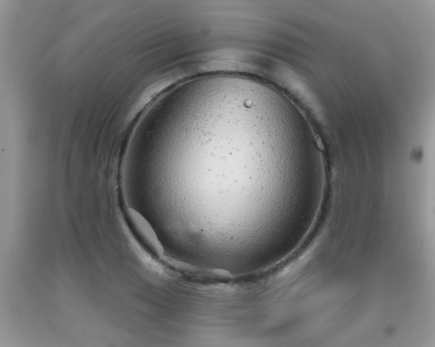 X0000092041033200709191056