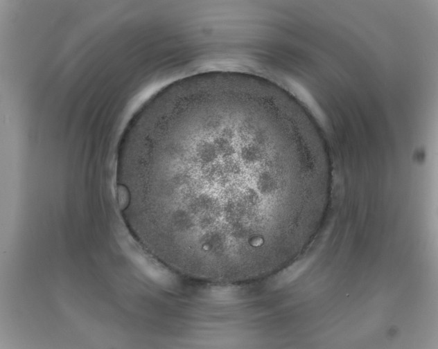 X0000092041035200709191056