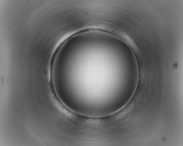 X0000092041036200709191056