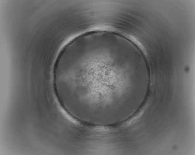 X0000092041037200709191056