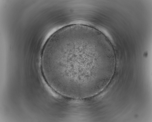 X0000092041040200709191056