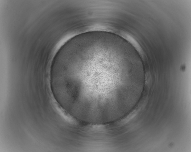 X0000092041043200709191056