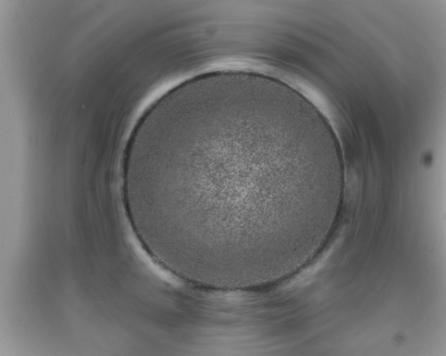 X0000092041045200709191056