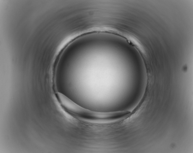 X0000092041046200709191056