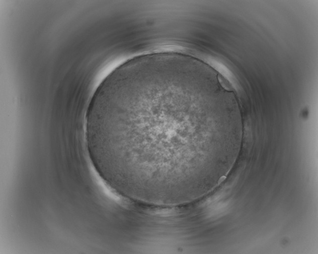 X0000092041047200709191056