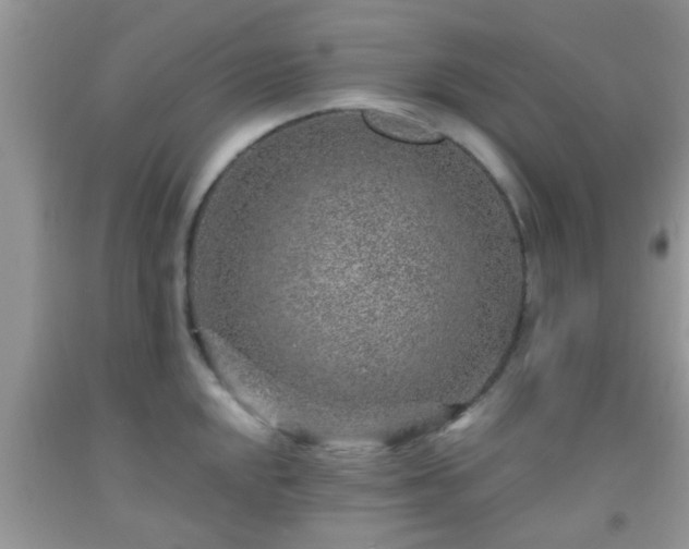 X0000092041048200709191056