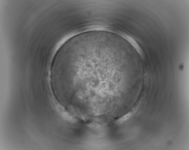 X0000092041051200709191056