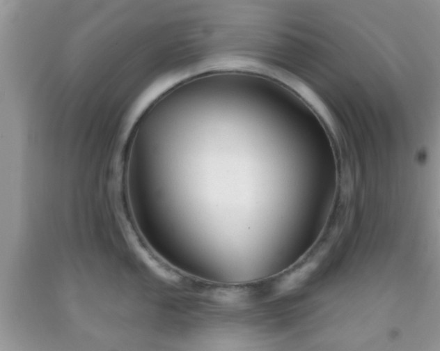 X0000092041053200709191056