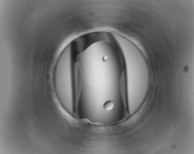 X0000092041054200709191056