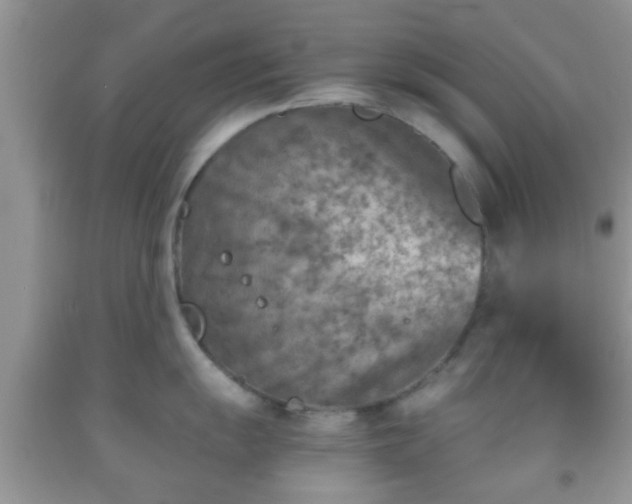 X0000092041055200709191056