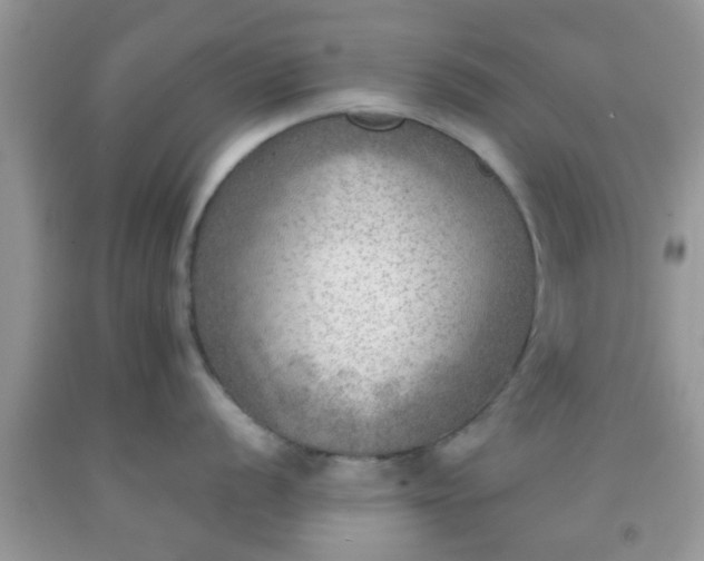 X0000092041056200709191056