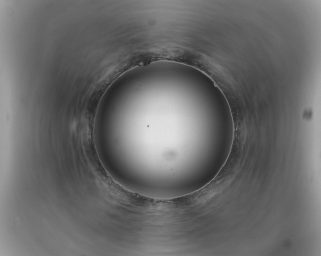 X0000092041058200709191056