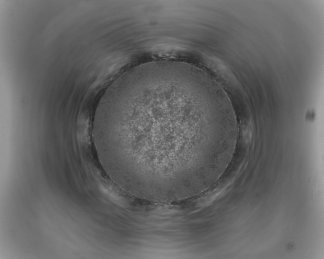 X0000092041060200709191056