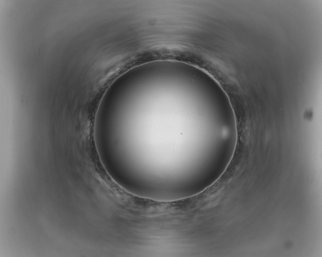 X0000092041061200709191056