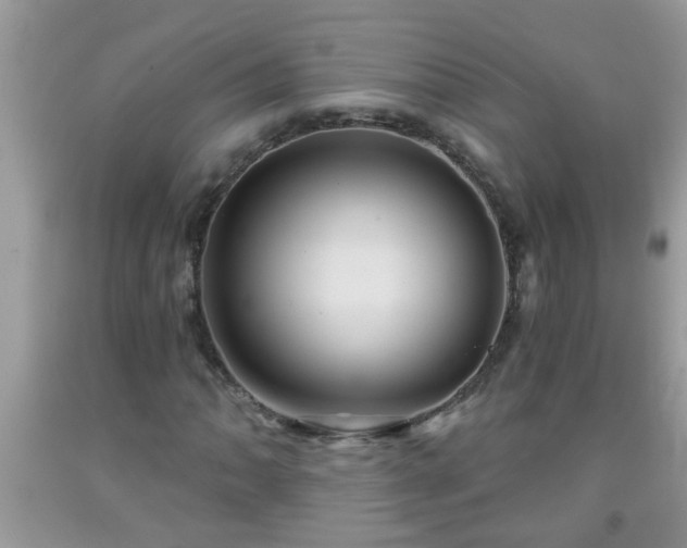 X0000092041062200709191056