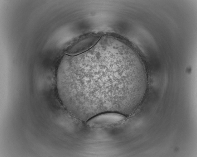 X0000092041063200709191056