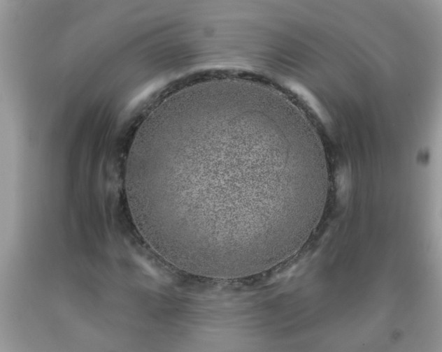 X0000092041064200709191055