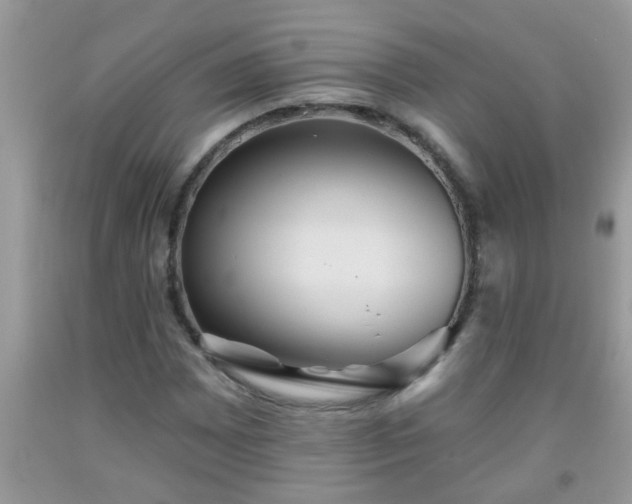 X0000092041065200709191055