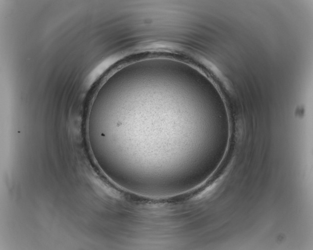 X0000092041066200709191055