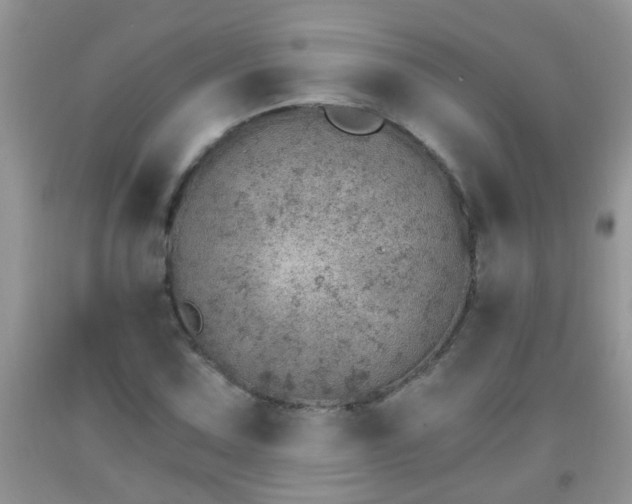 X0000092041067200709191055