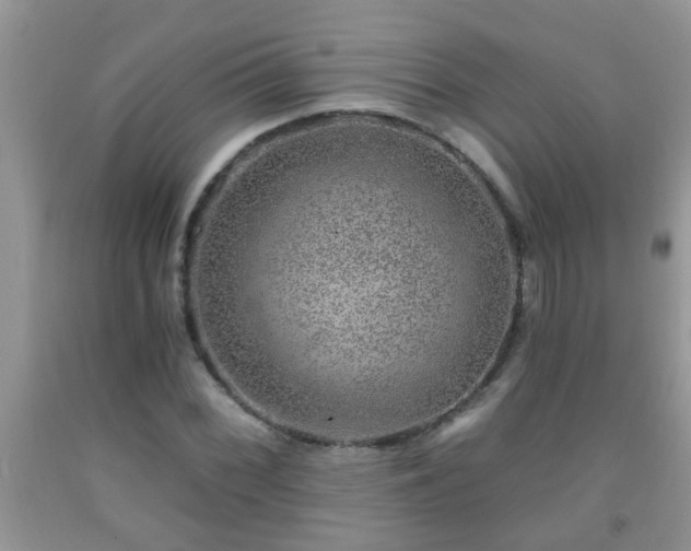 X0000092041068200709191055