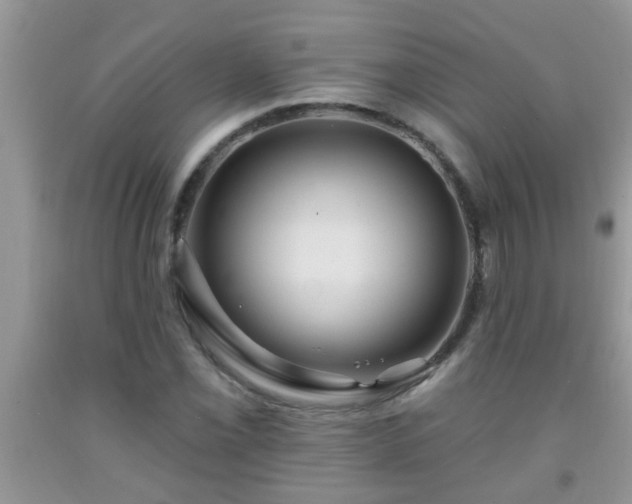 X0000092041069200709191055