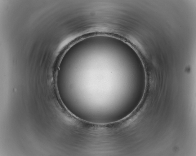 X0000092041070200709191055