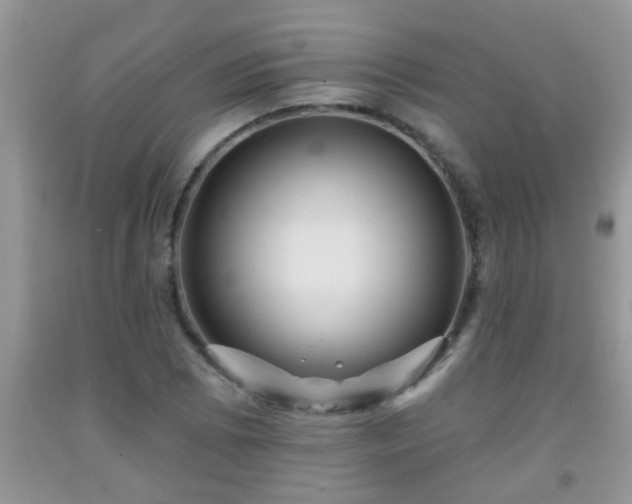 X0000092041073200709191055